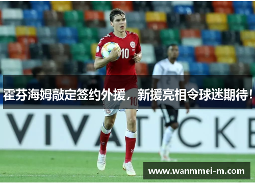 霍芬海姆敲定签约外援，新援亮相令球迷期待！