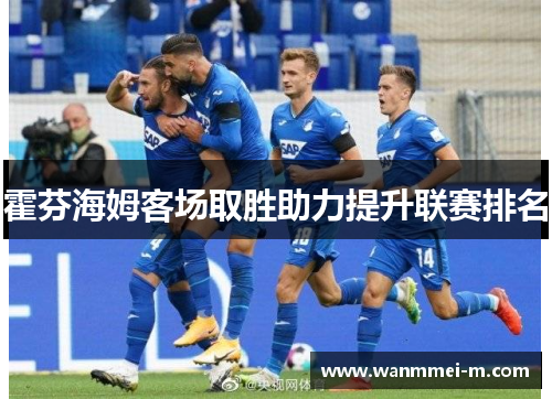 霍芬海姆客场取胜助力提升联赛排名